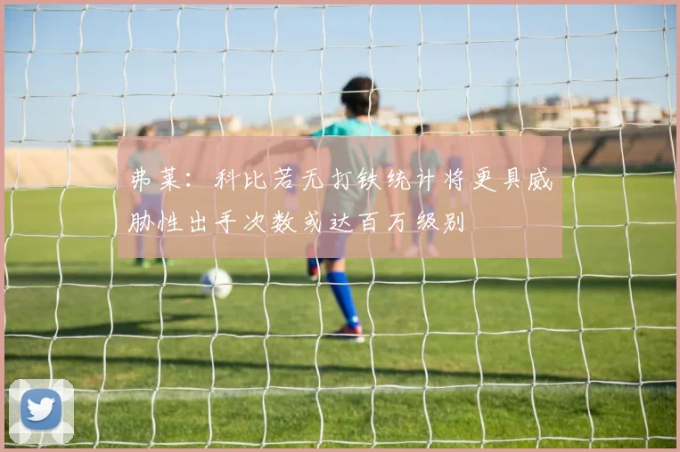 弗莱：科比若无打铁统计将更具威胁性出手次数或达百万级别
