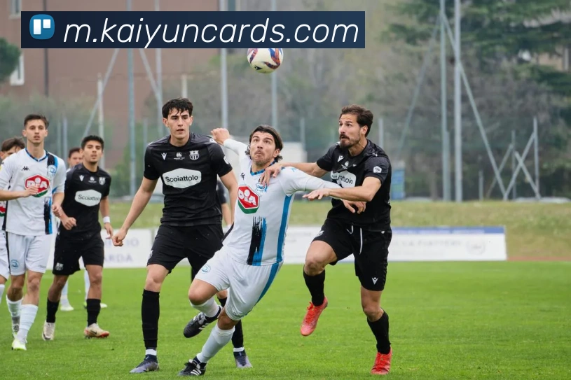 开云棋牌服务体系